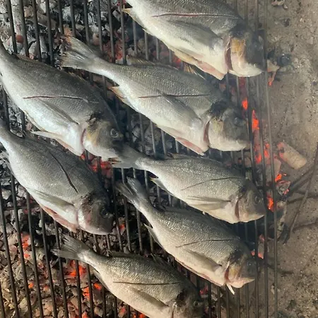 Agape Biograd Na Moru